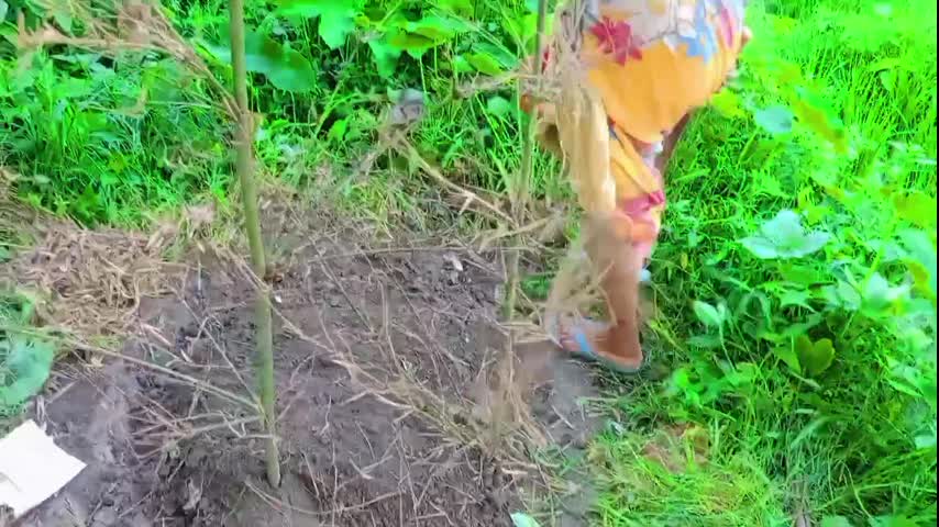 Lokal bhabhi and me outdoor sex