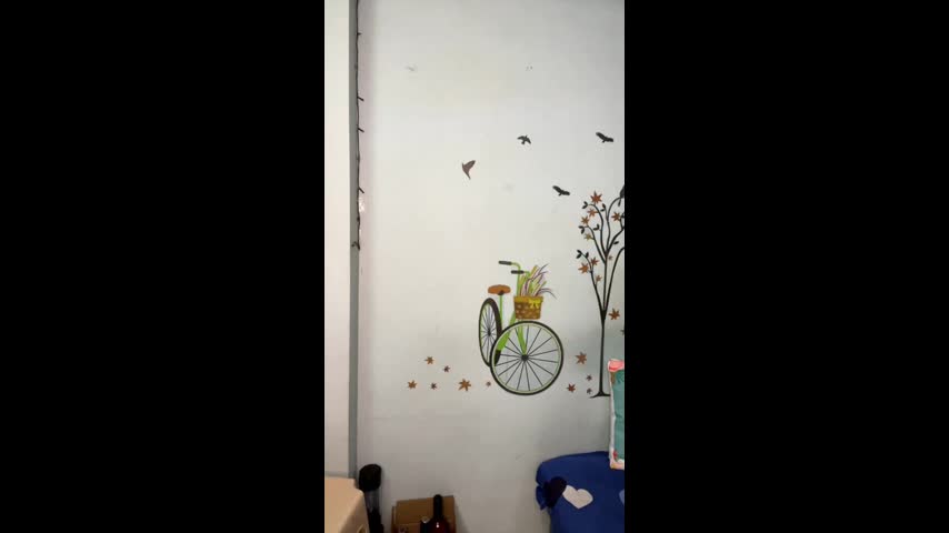 video_22906-12-2022_07-25-44