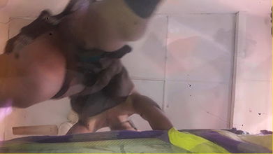 Jaanu’s Big Black Cock Is Hanging Like a Meat Pole Served with